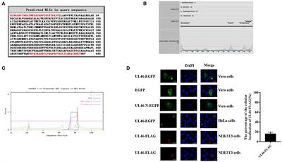 Characterization of Nucleocytoplasmic Shuttling of Pseudorabies Virus Protein UL46